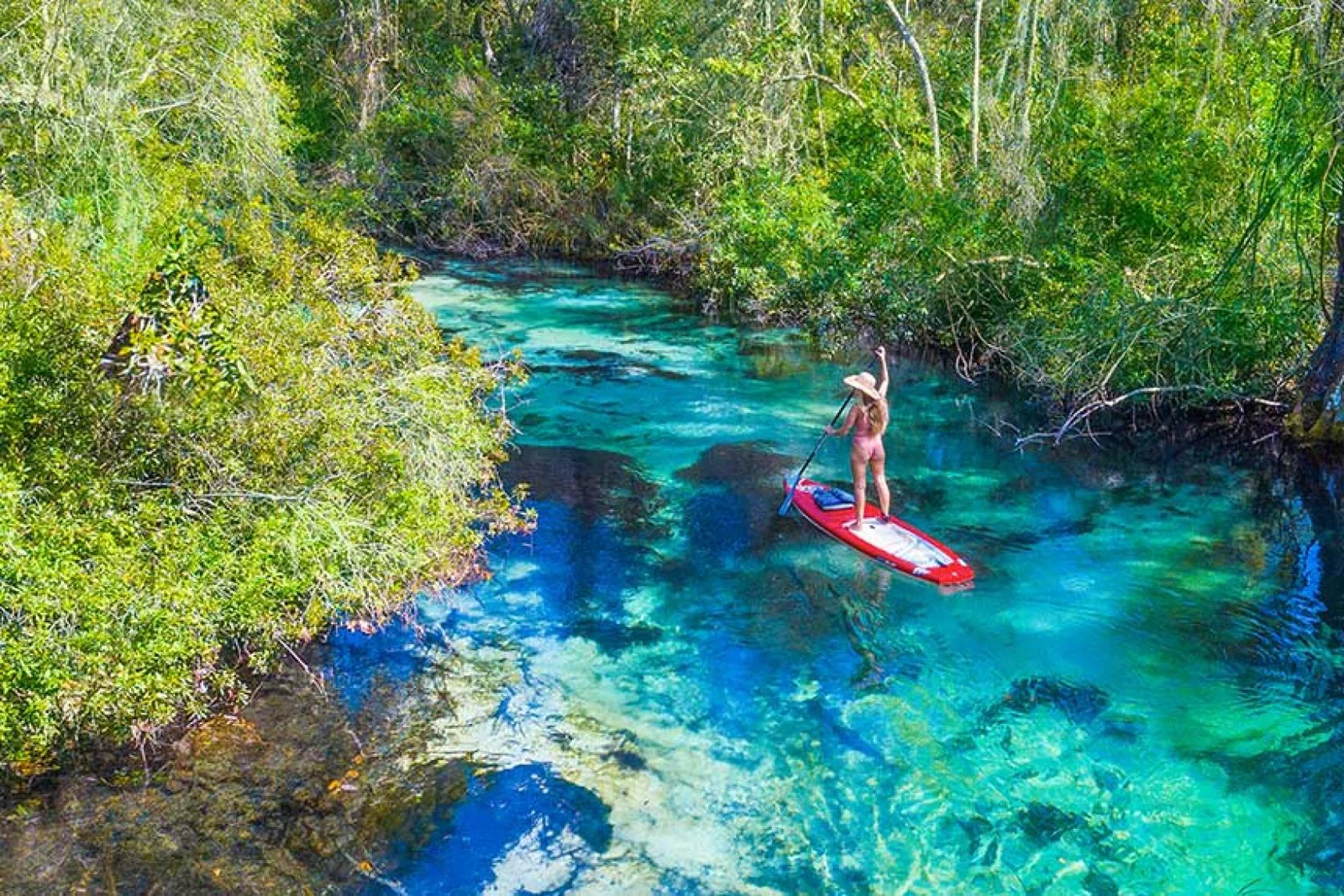 Stand-up paddle boarding in Weeki Wachee, Florida