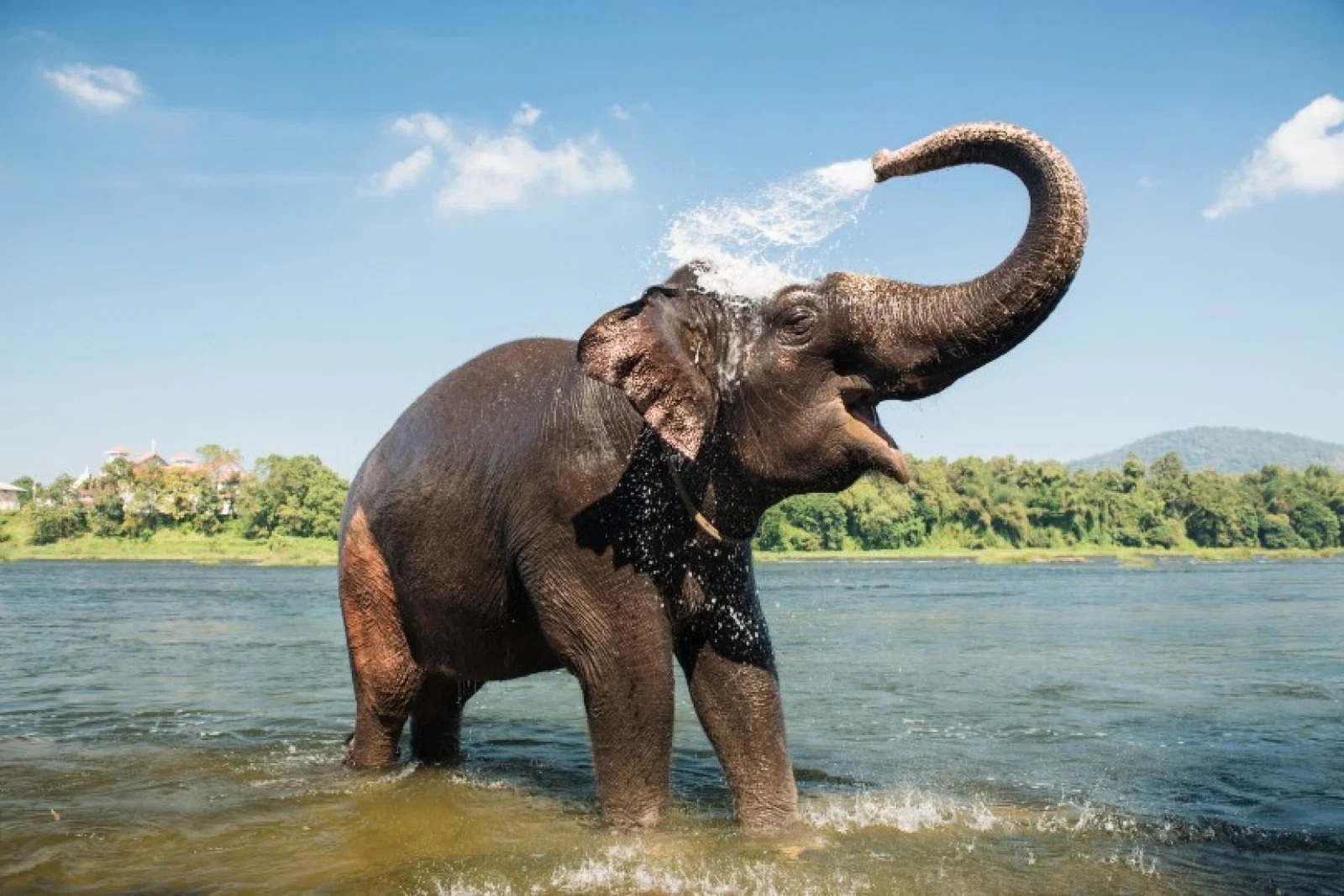 (Credit: iStock)
