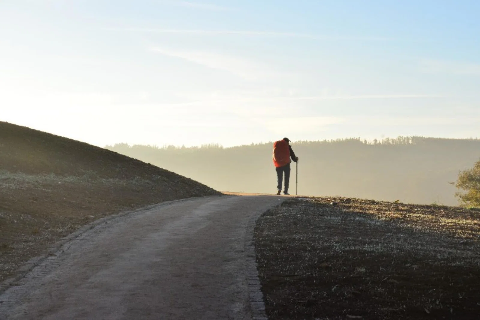 Pax Travel specialised in Christian pilgrimages (Credit: Jorge Luis Ojeda/Unsplash)