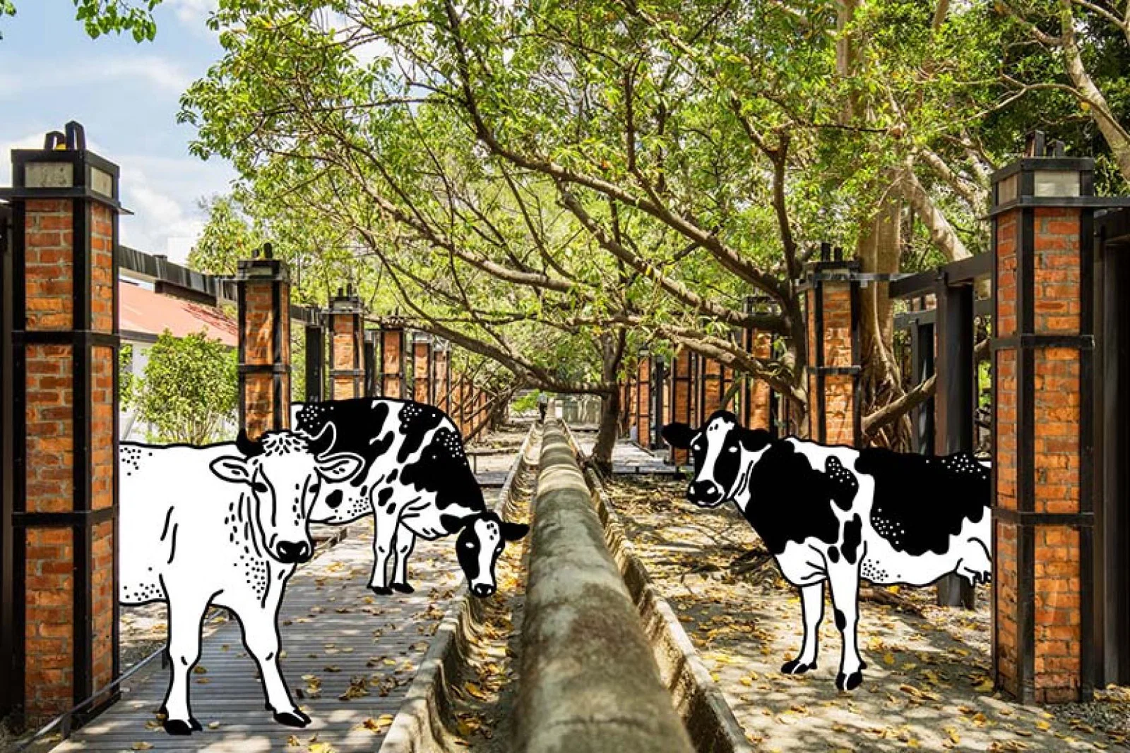 5 best spots for street art in Hong Kong