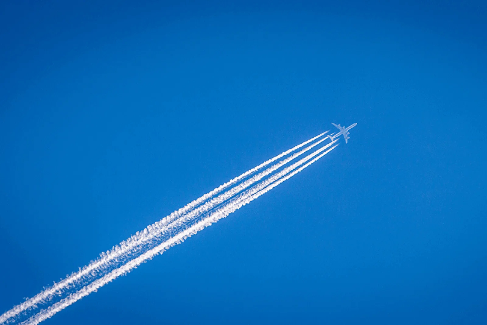 Sustainability will spread via the supply chain