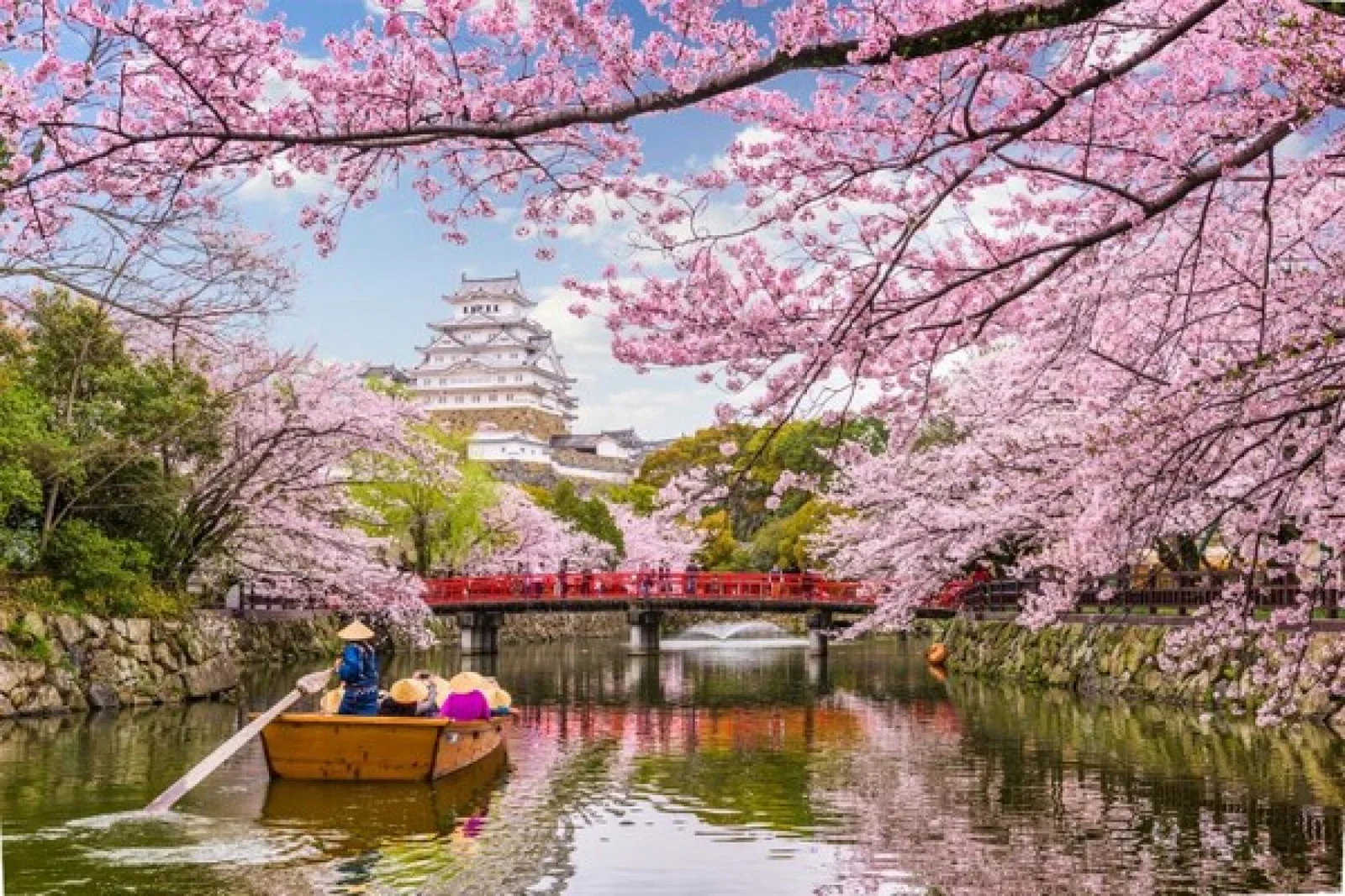 Wendy Wu Tours adds 50 new departures to Japan next year