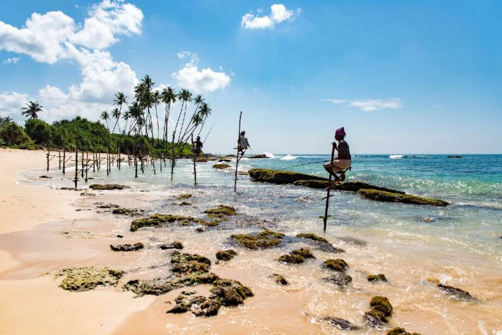 Mirissa Beach in Sri Lanka. (Credit: Daniel Klein on Unsplash)