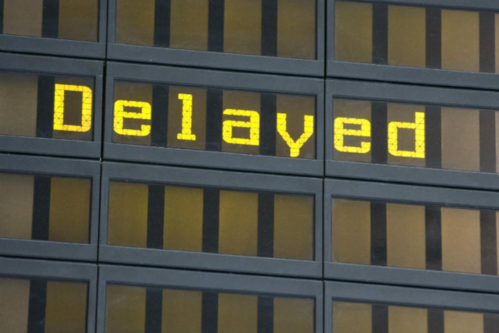 delayed web.jpg