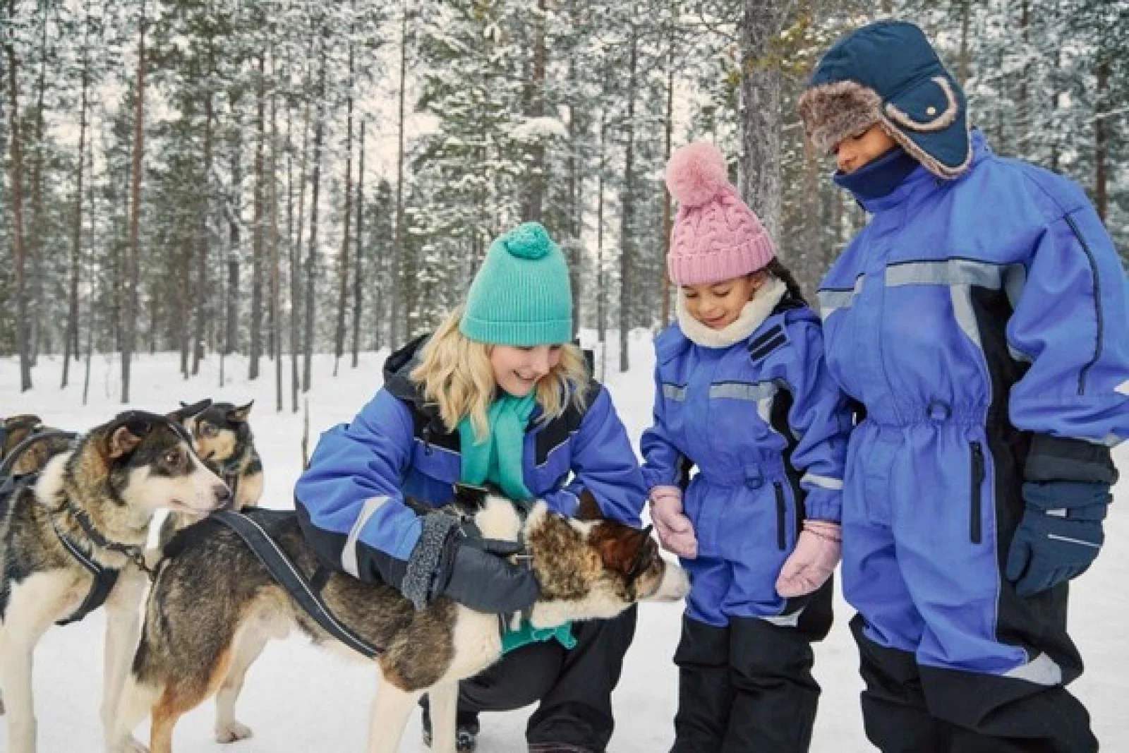 Santa's Lapland has put its 2024 programme on sale
