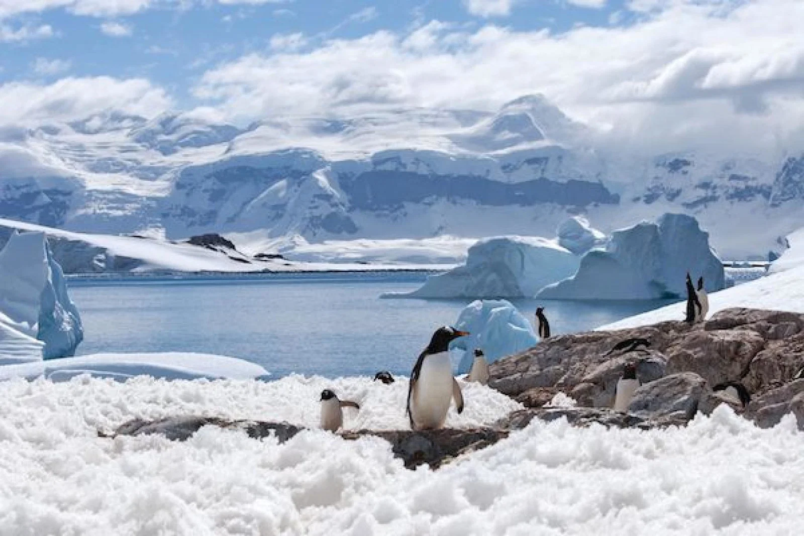 Argentina's Tierra del Fuego