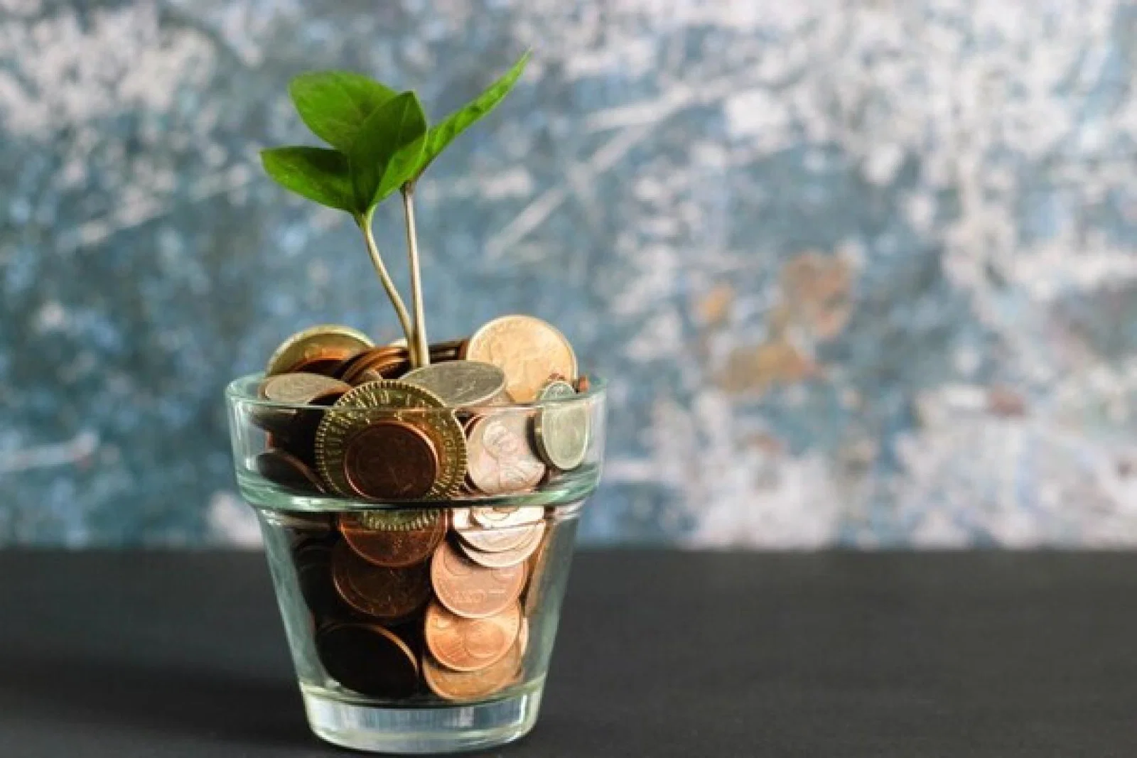Consumers might have less money but they're still splashing out on big purchases (Credit: Micheile Henderson/Unsplash)