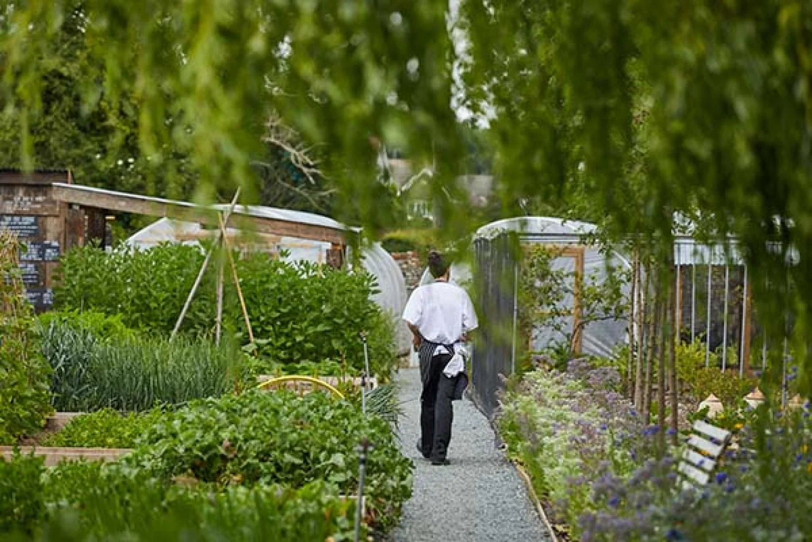 Kitchen gardens feature across The Pig's eight-strong portfolio