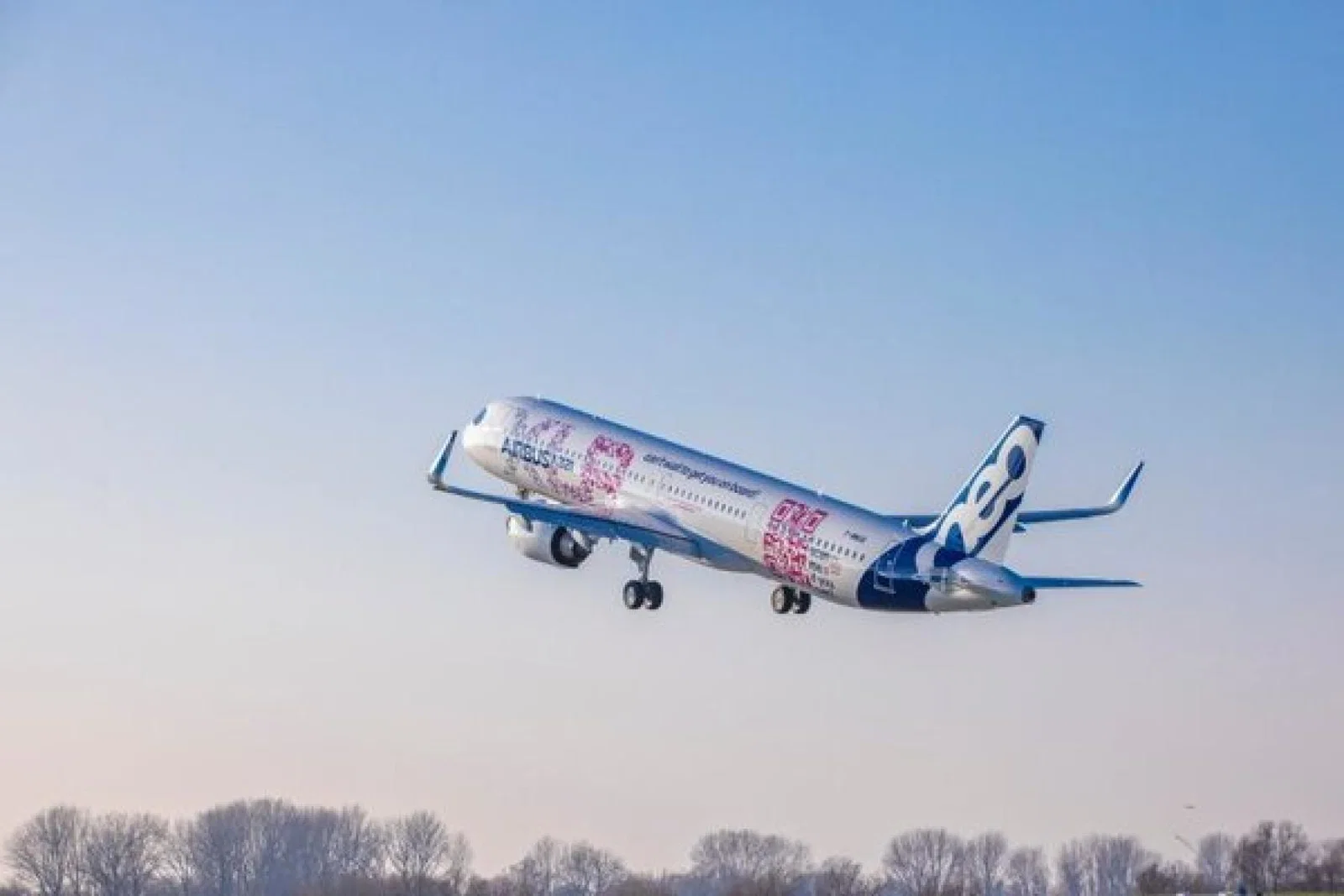 Spreading their wings: The new planes set to change the world