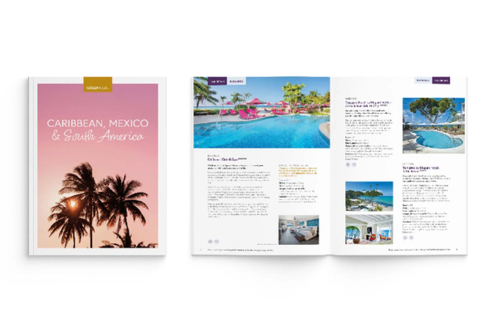 Gold_Medal_brochure_May_2023.jpg