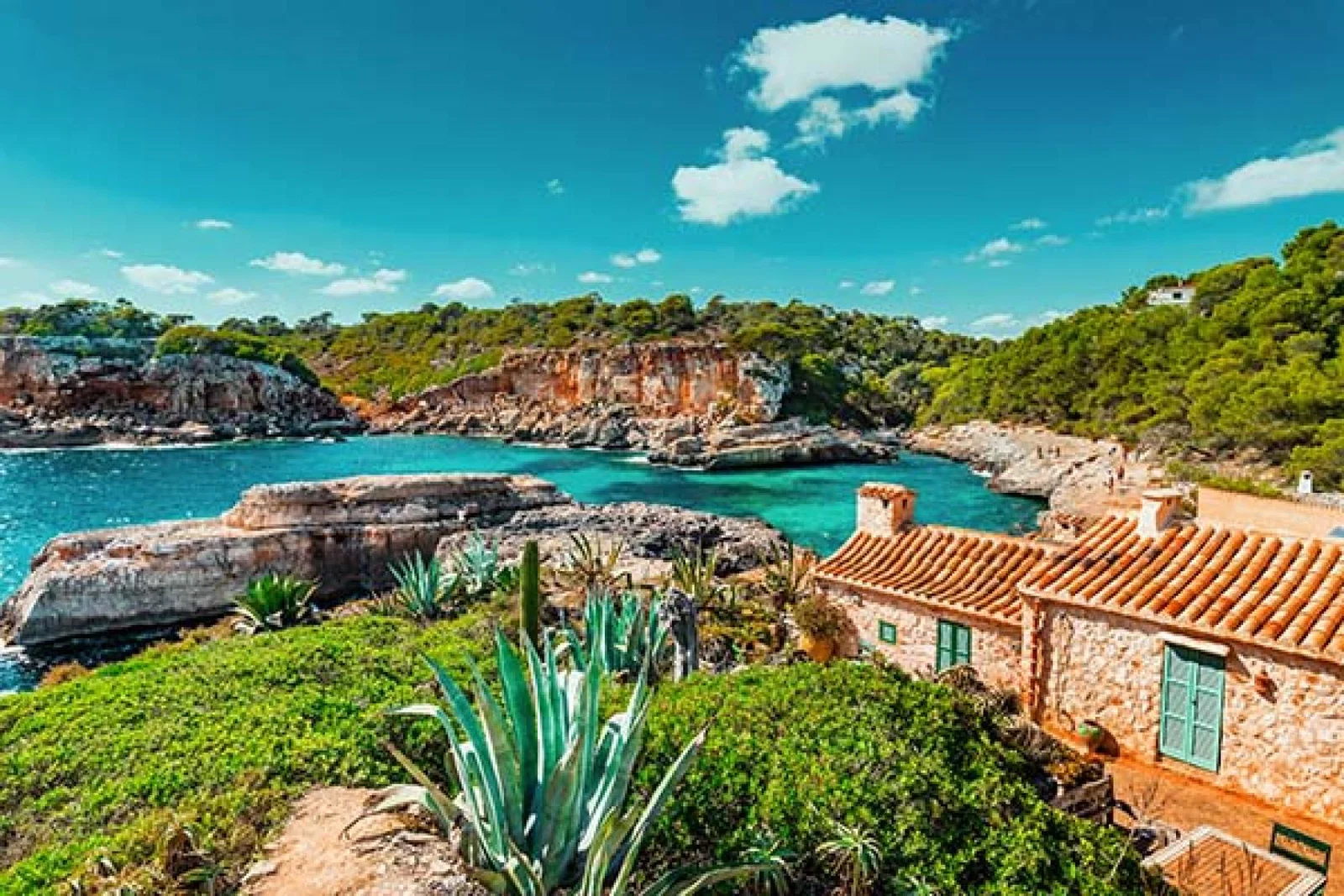 Majorca_1.jpg