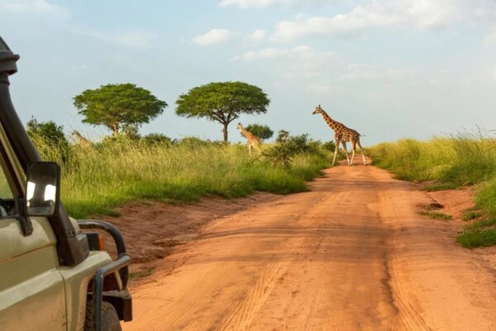 The Big Question: Should travel firms still be selling captive animal attractions?