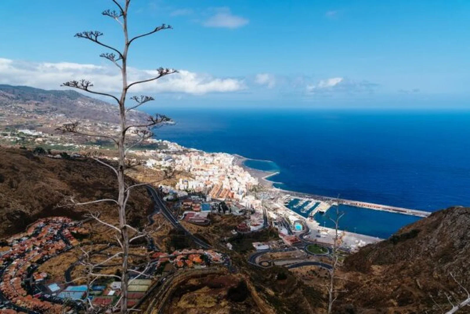 Tenerife Santa Cruz iStock-1341601311 (Credit: iStock)
