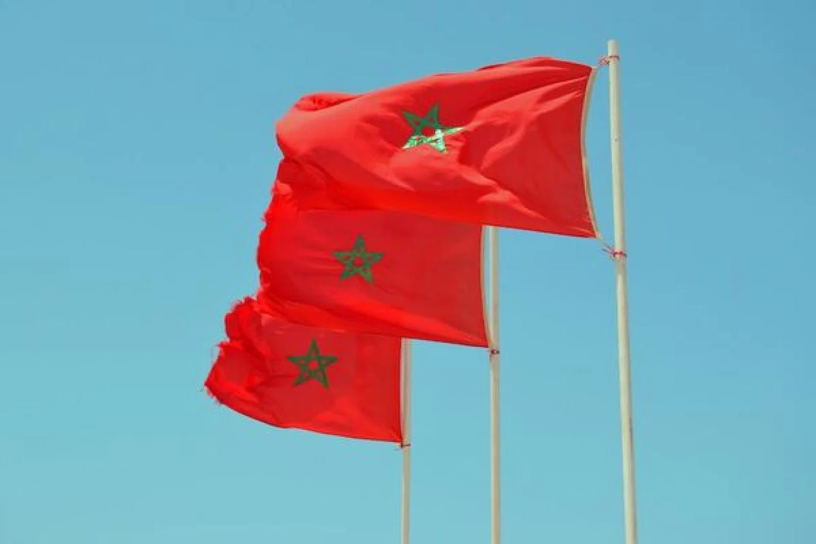 Moroccan flag (Credit: Tigmi Moiz on Unsplash)