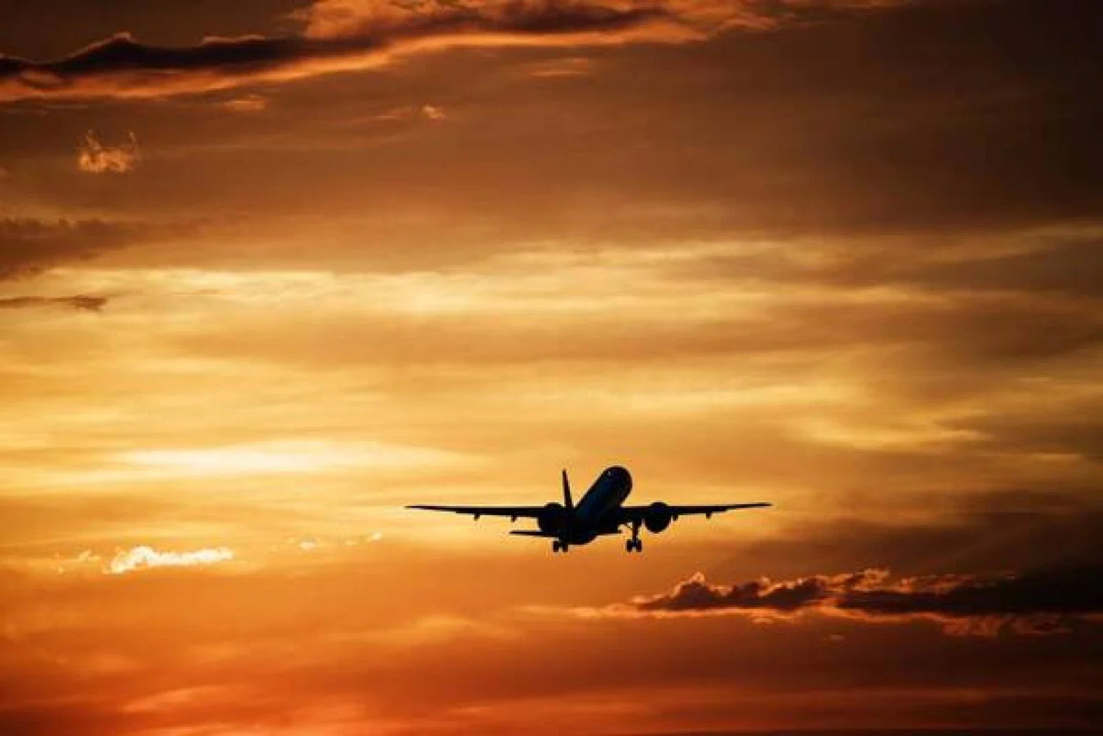 Further 175,000 FTI trips cancelled as package takeover talks fail