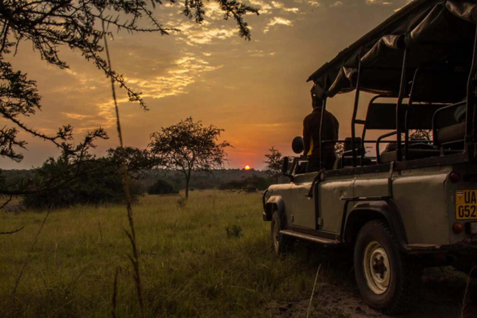 Night_game_drive_-_Uganda.jpg