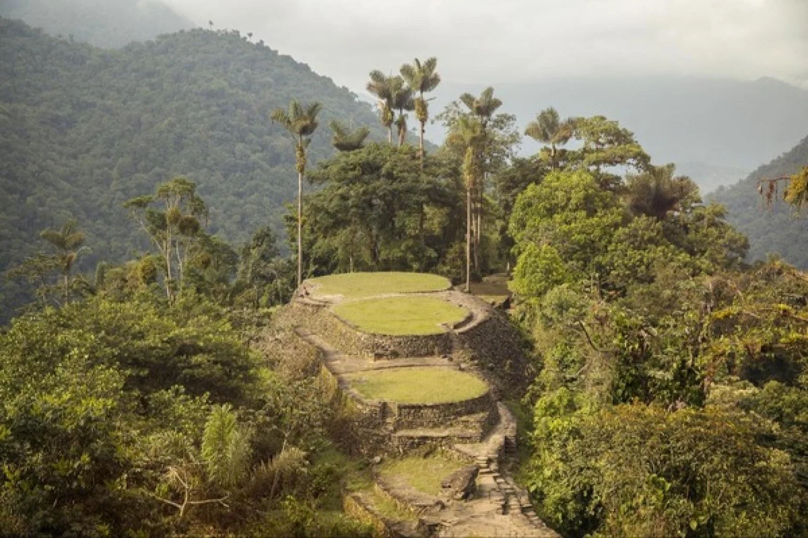 crop_ColombiaLostCityLandscape.jpg