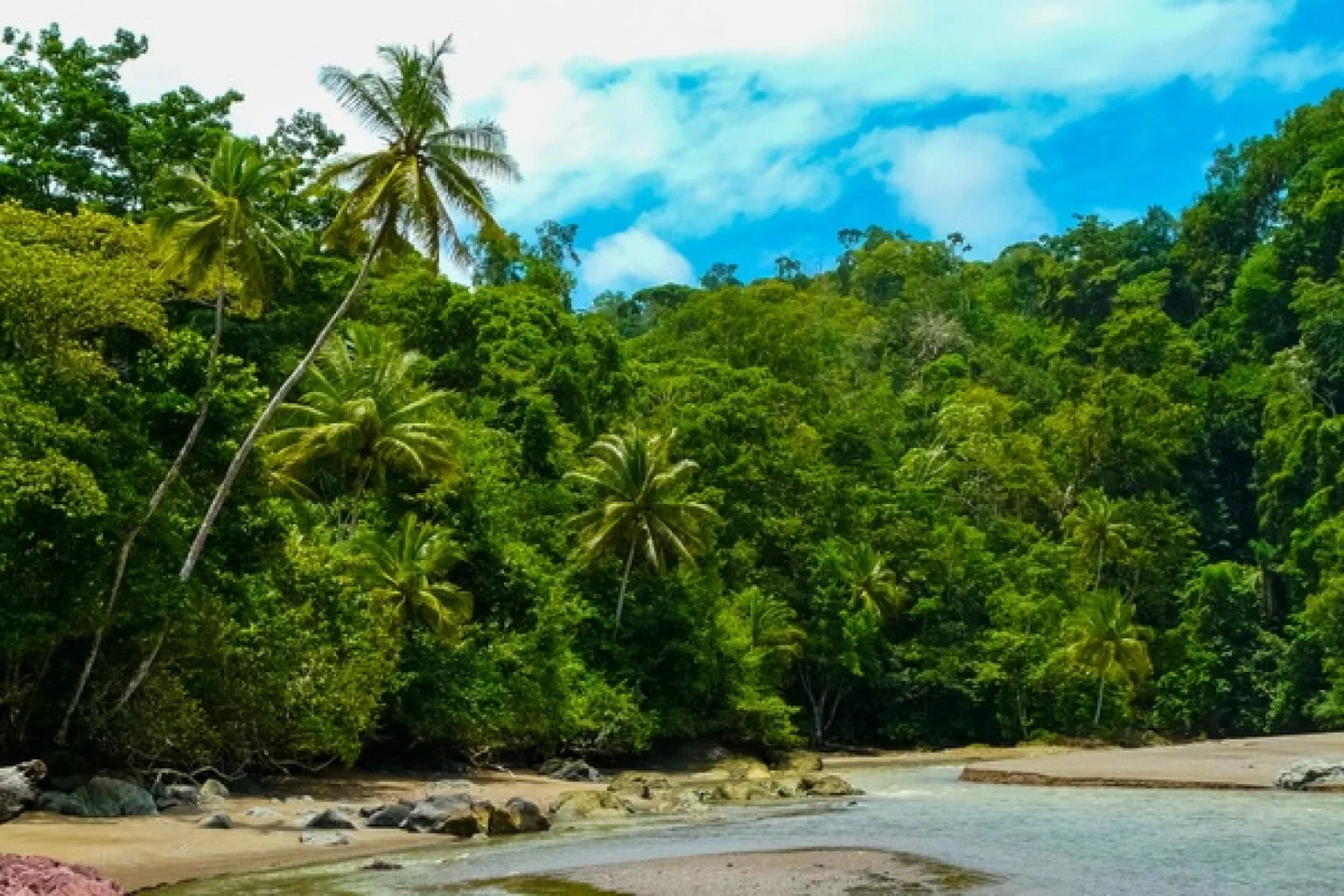 Osa Peninsula Costa Rica April 2024.jpg