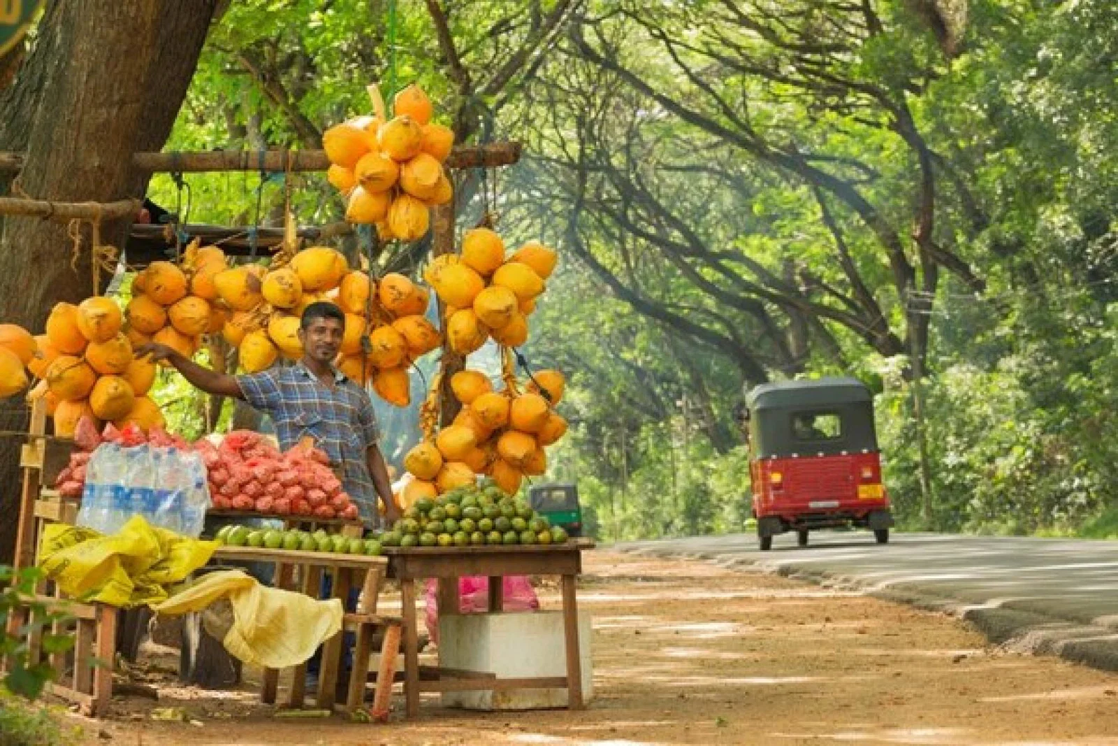 Sri_Lanka_iStock-503048318.jpg