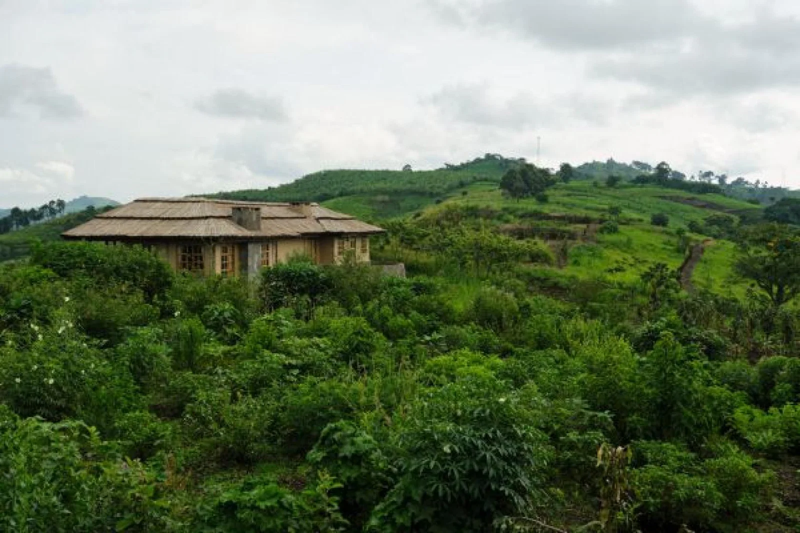 Kibale Lodge in Uganda