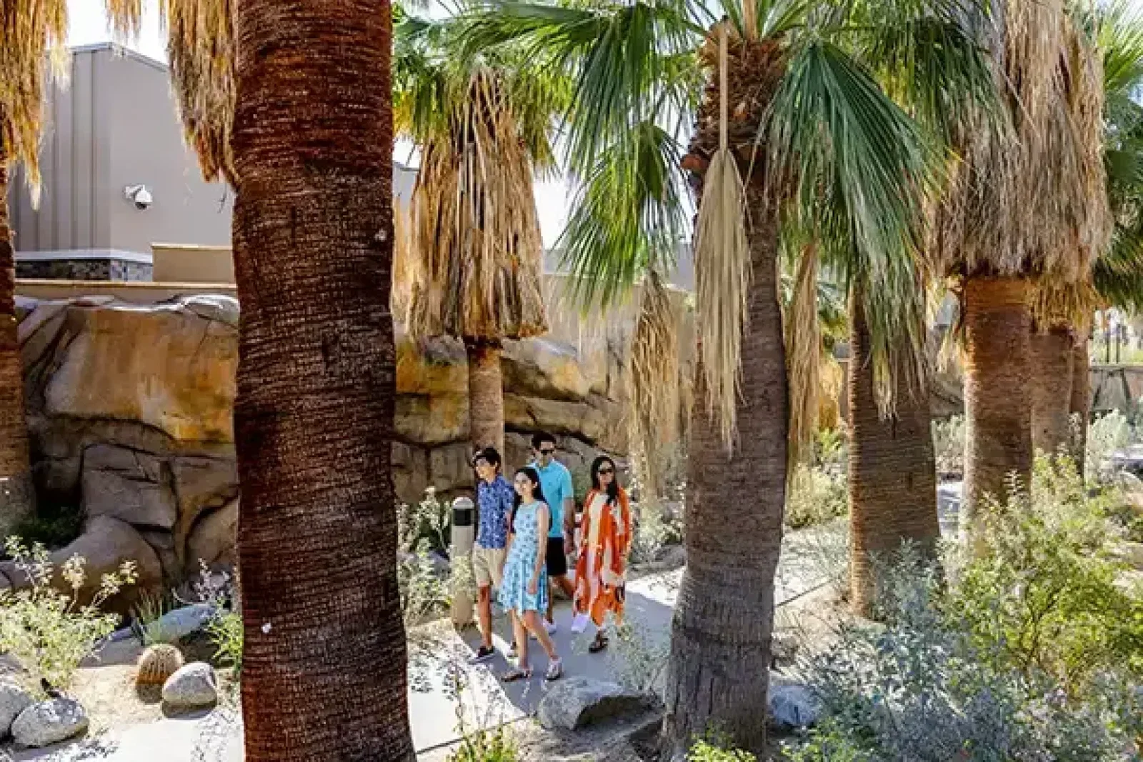 The Oasis Trail at the new Agua Caliente Cultural Plaza