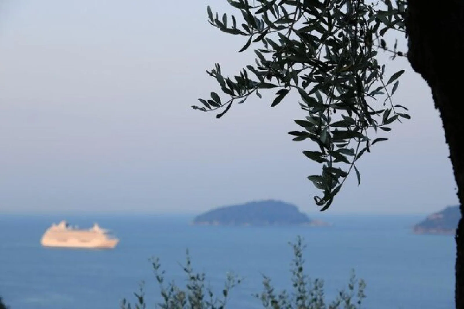 Crystal Serenity, Crystal Cruises, June 2024.jpg