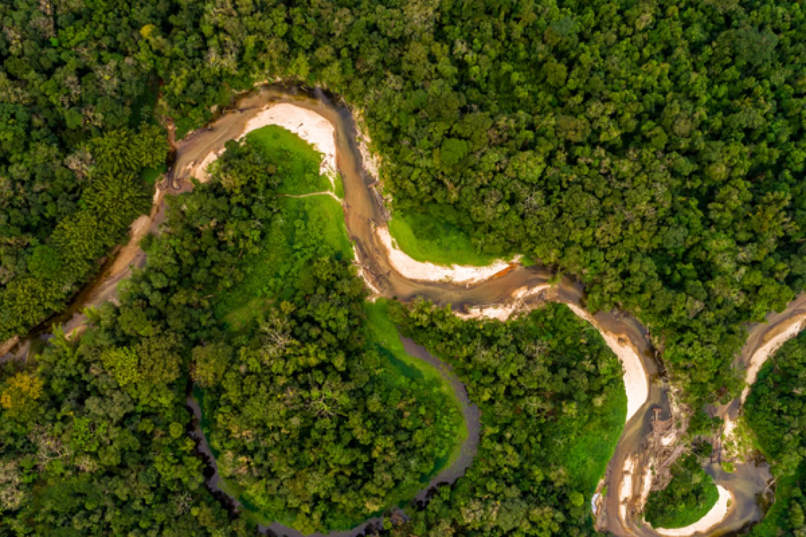 Amazon, Brazil