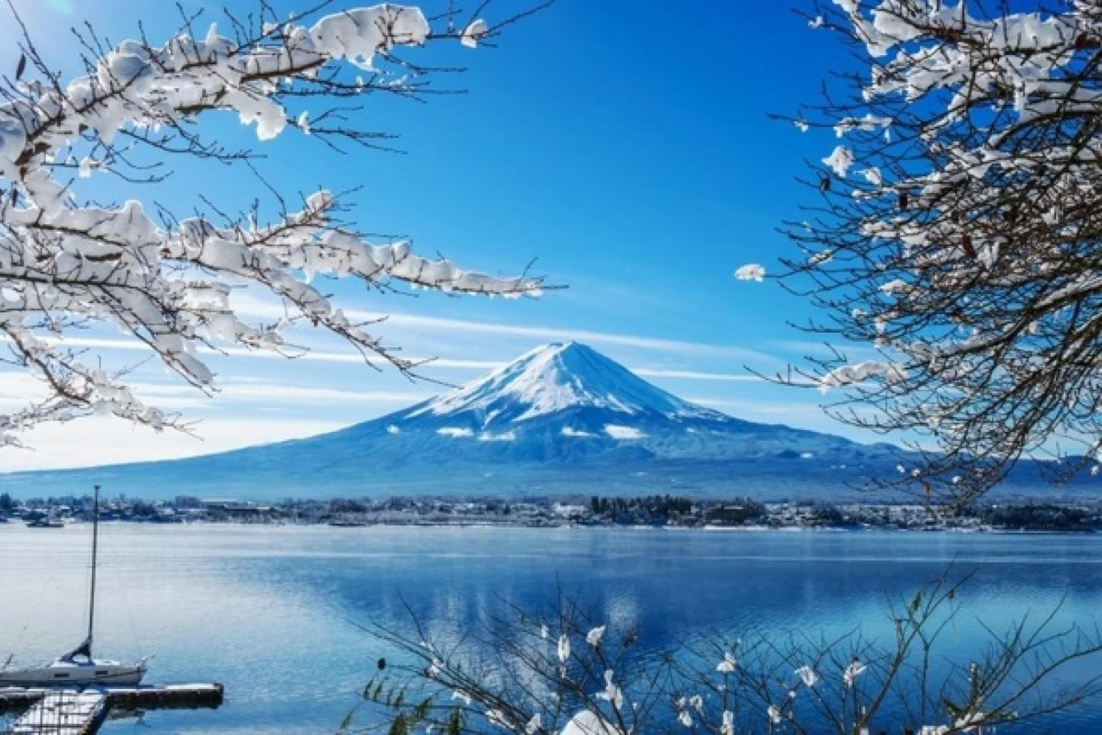 Japan_Fuji_Lake_Kawaguchi_iStock-635978162, (Credit: iStock / cons972)