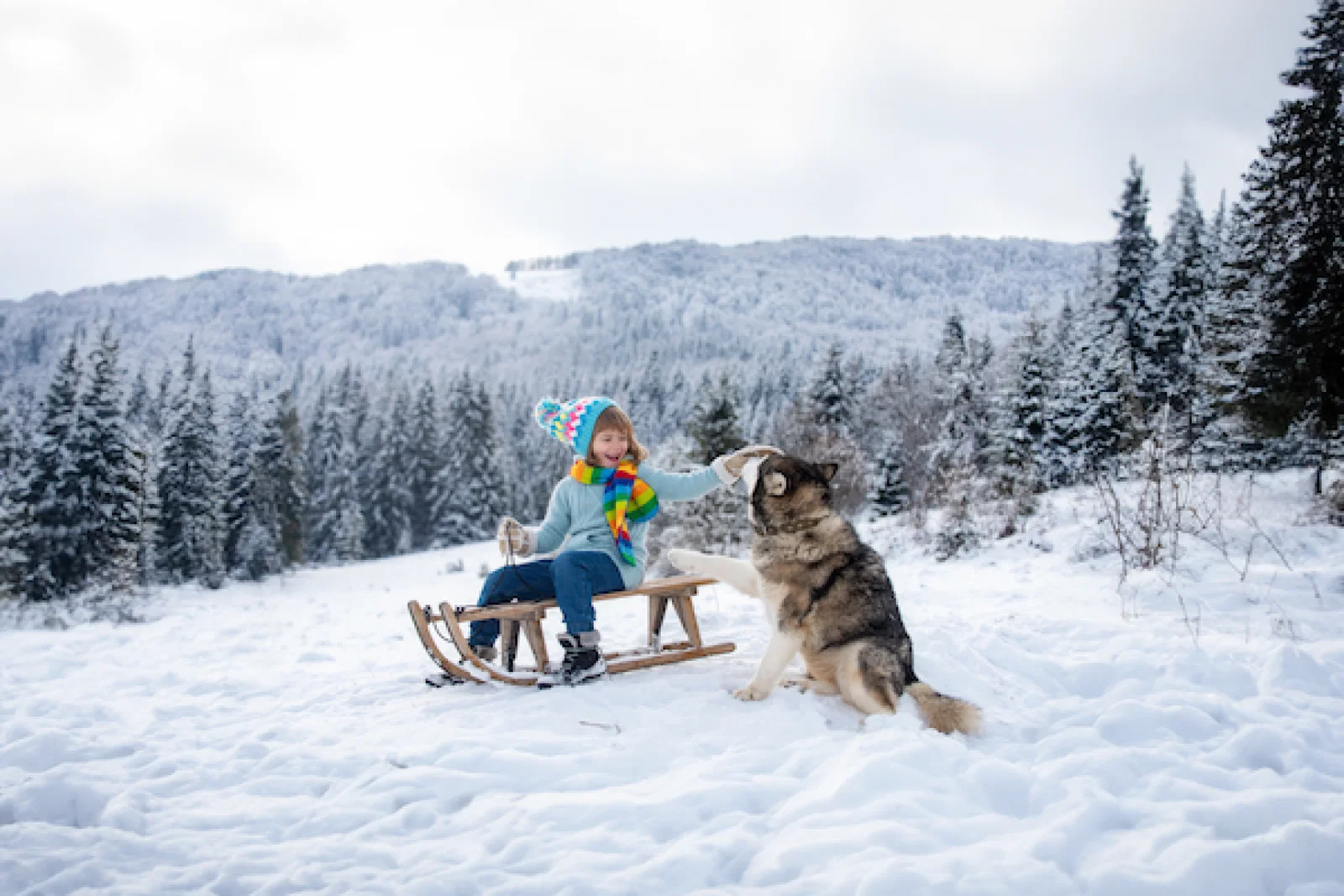 Lapland.png