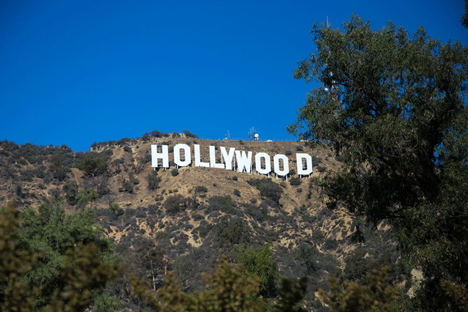 Hollywood sign