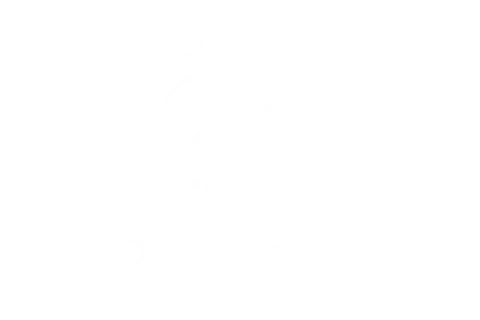 AE Expeditions