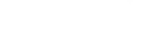 Martin County white logo