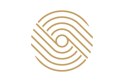 Nine Worlds logo