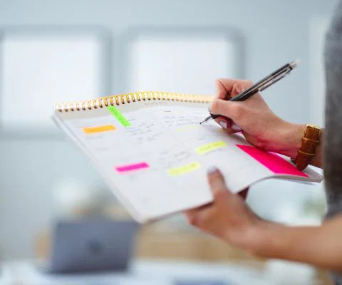 Organisation and productivity