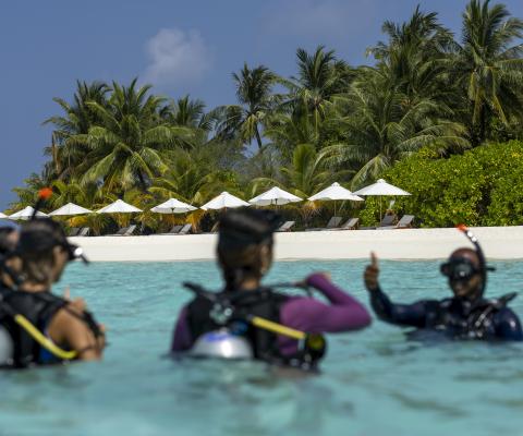 People wearing diving gear on the surface of clear blue ocean water with a white sand, parasol-lined beach in bacground