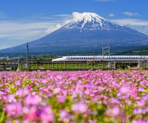 Bullet train and Mt Fuji