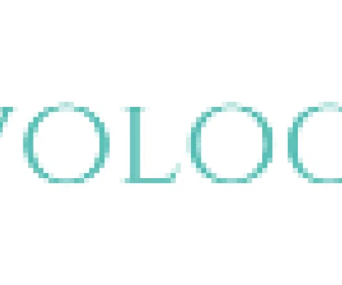 travology travel logo