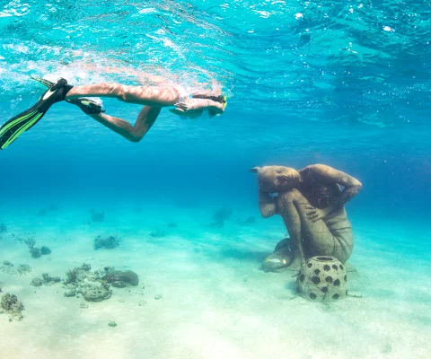 Person snorkelling by underwater sculpture
