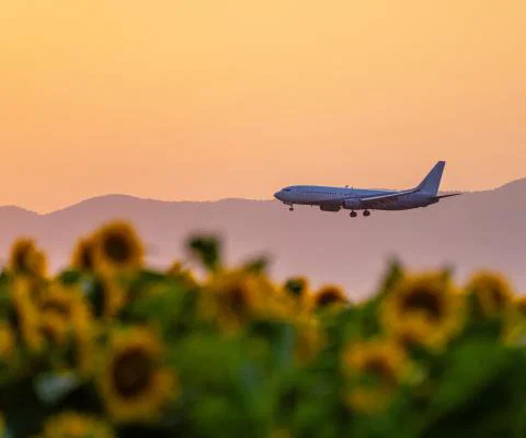Airlines have been reminded of their obligations to passengers, despite fuel supply constraints