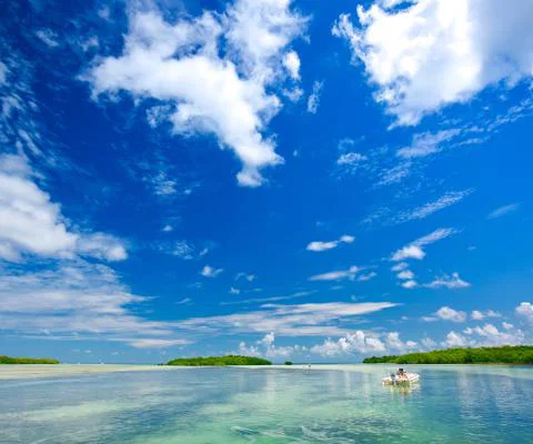 Lower Keys Back Country