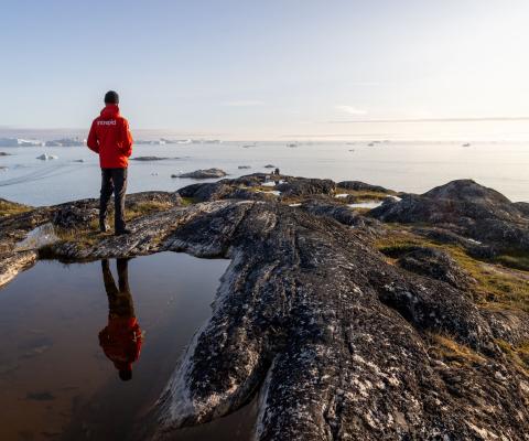 A person in an Intrepid jacket looks out across the ocean in Greenland