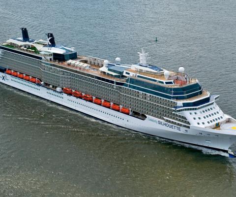 celebrity-silhouette.jpg