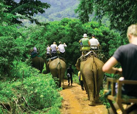 elephant-ride.jpg