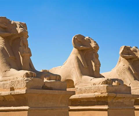rams-luxor-egypt.jpg