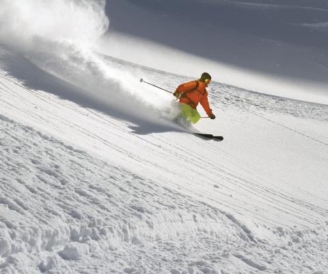 Ski (stock)