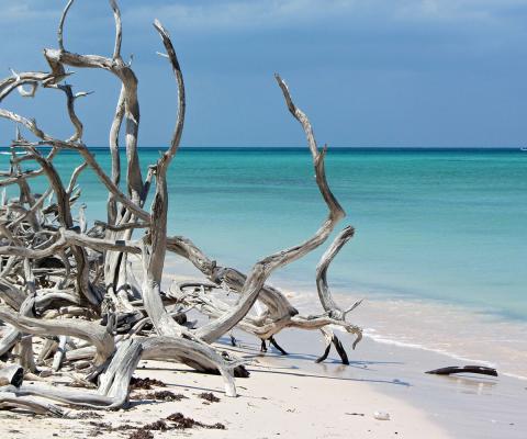 cayo-levisa-cuba.jpg