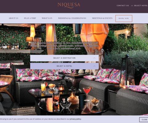 niquesa-website1.jpg