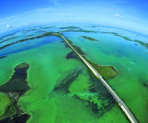 Aerial shot of the Lower Keys.jpg