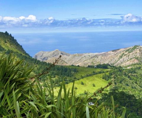 st-helena.jpg