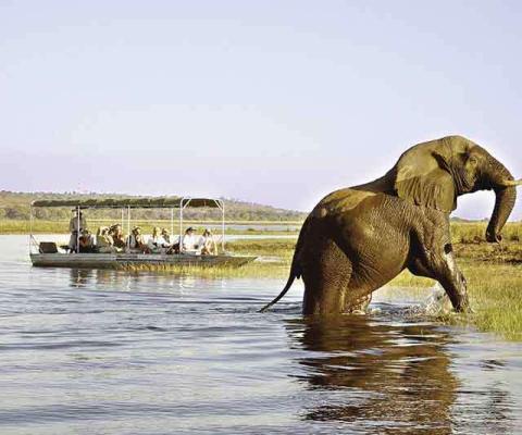Botswana makes Explore's top-five list for 2020